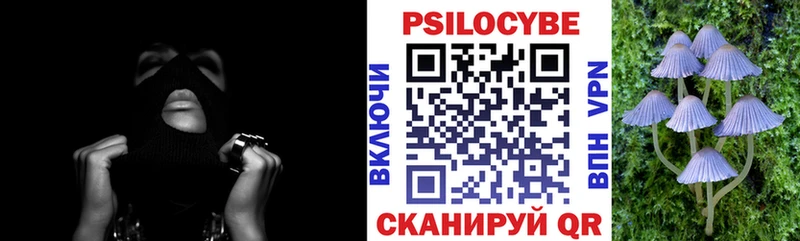 Галлюциногенные грибы GOLDEN TEACHER наркошоп Сельцо